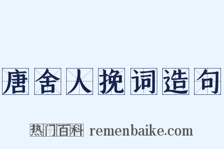 唐舍人挽词造句是什么意思的图片